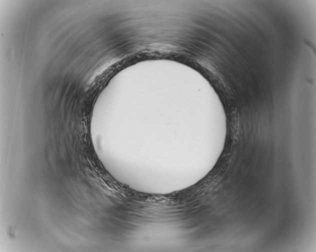 X0000102021112200808151309