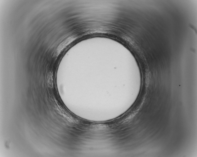 X0000102021113200808151309