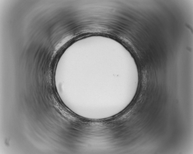 X0000102021114200808151309