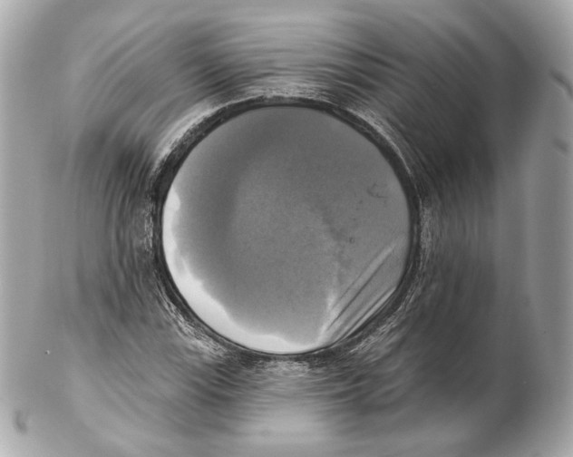 X0000102021115200808151309