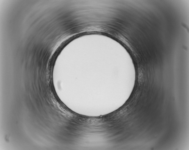 X0000102021116200808151309