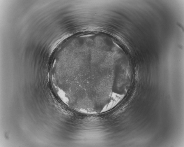 X0000102021117200808151309