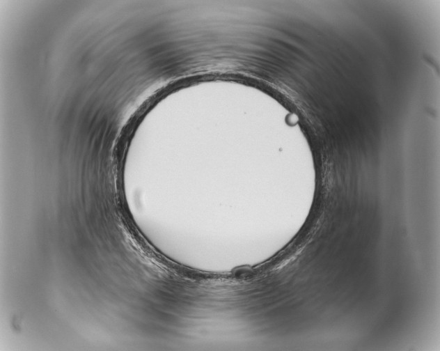 X0000102021118200808151309