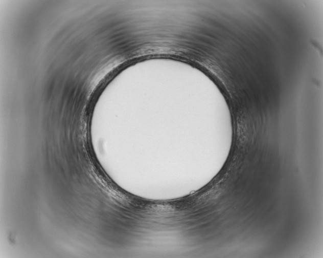 X0000102021119200808151309