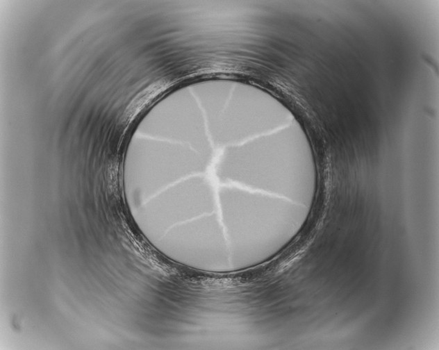 X0000102021121200808151309