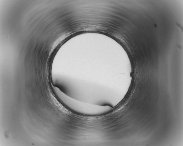 X0000102021122200808151309