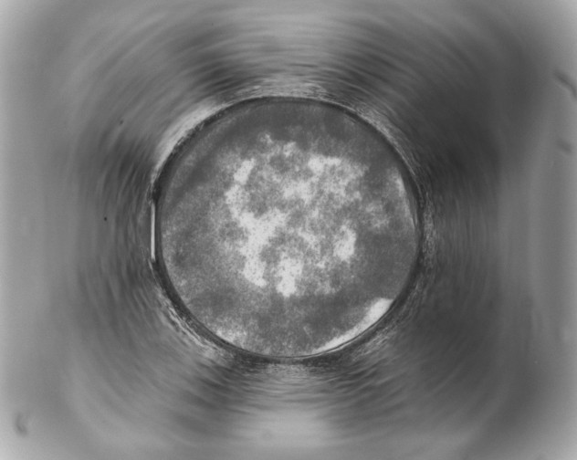 X0000102021123200808151309