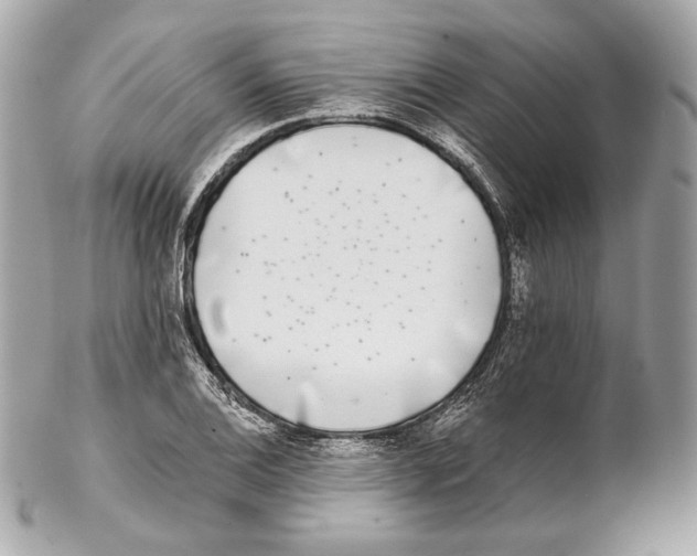 X0000102021124200808151309