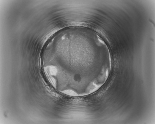 X0000102021125200808151309