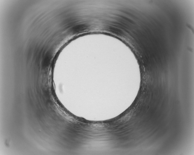X0000102021126200808151309
