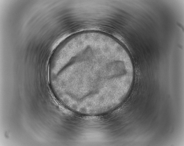 X0000102021127200808151309
