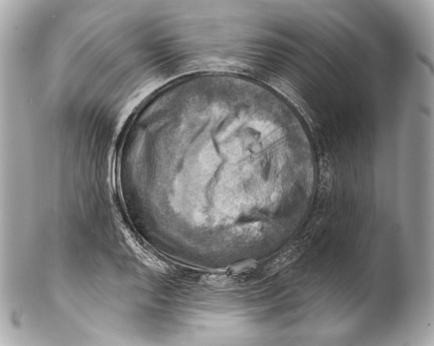 X0000102021128200808151309