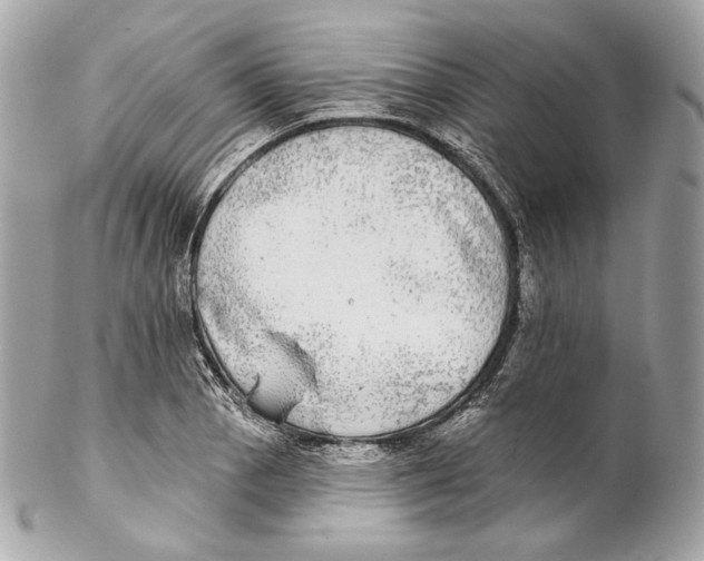 X0000102021129200808151309