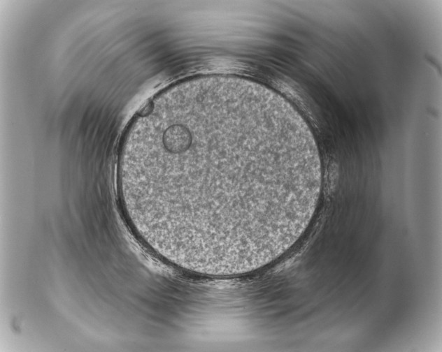 X0000102021130200808151309