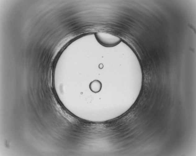 X0000102021131200808151309