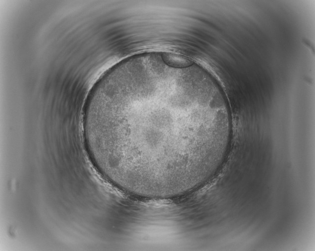 X0000102021133200808151309