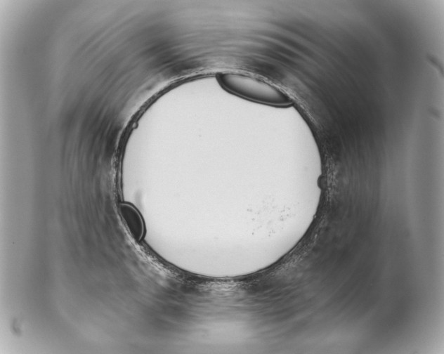 X0000102021134200808151309