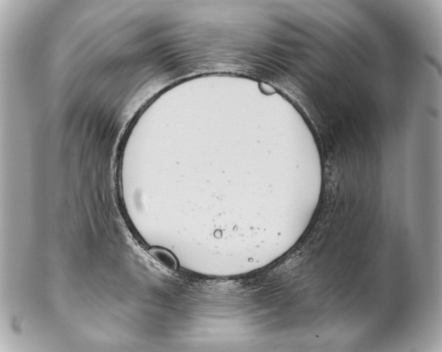 X0000102021135200808151309