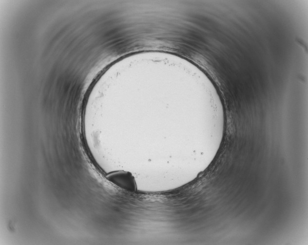 X0000102021136200808151309