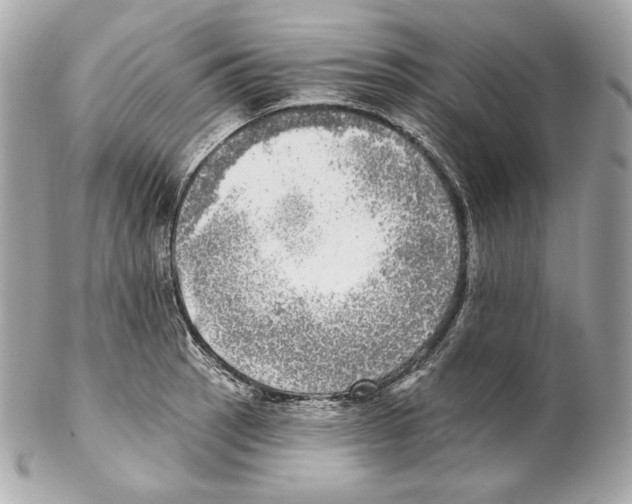 X0000102021137200808151309