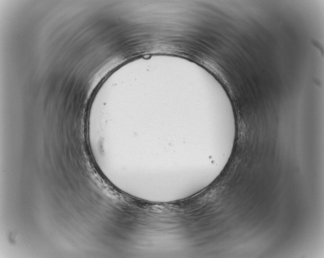 X0000102021138200808151309