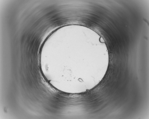 X0000102021140200808151309
