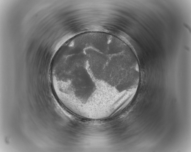 X0000102021141200808151309