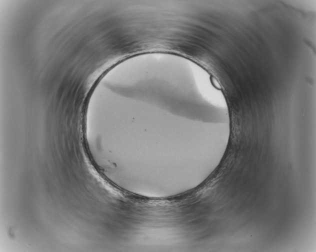 X0000102021142200808151309