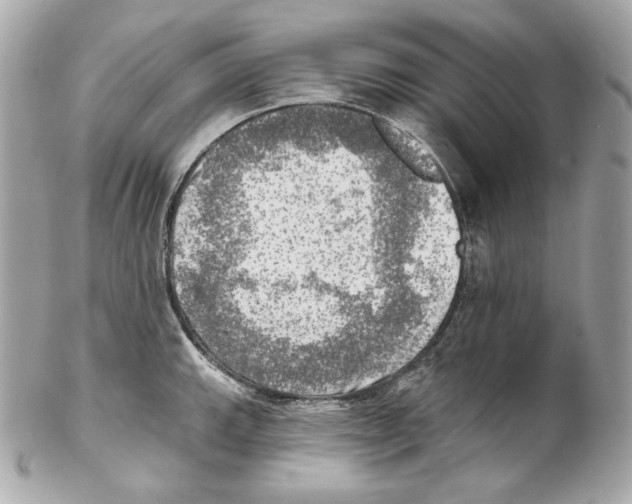 X0000102021143200808151309