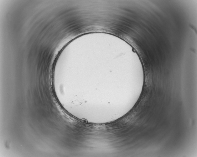 X0000102021144200808151309