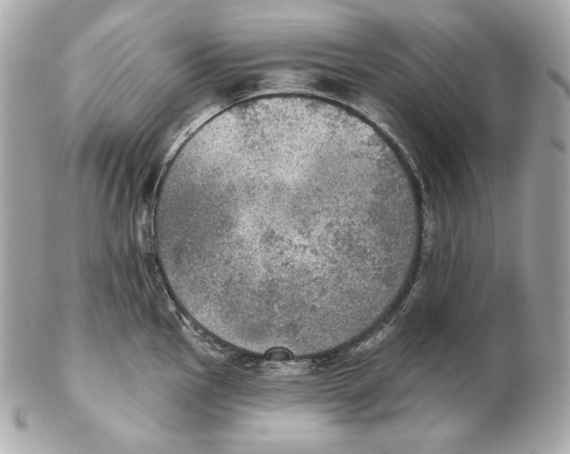 X0000102021145200808151309