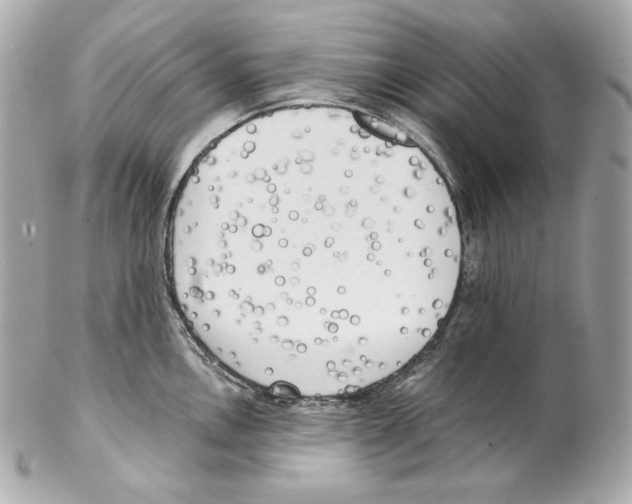X0000102021146200808151309