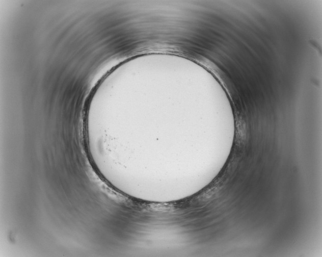 X0000102021147200808151309