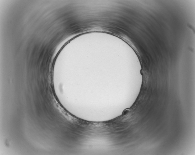 X0000102021148200808151309