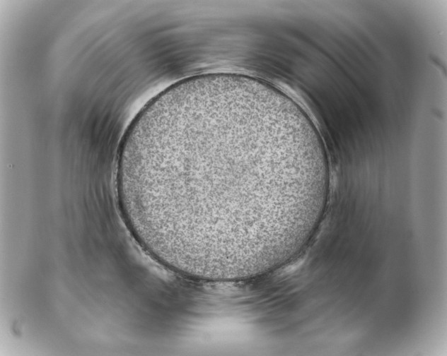 X0000102021149200808151309