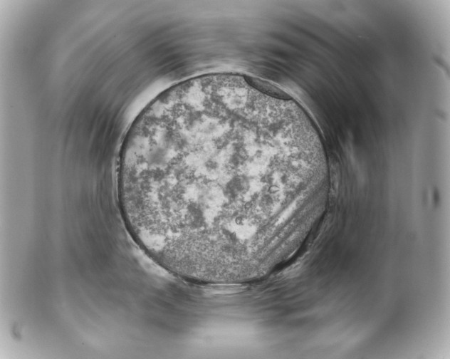 X0000102021151200808151309