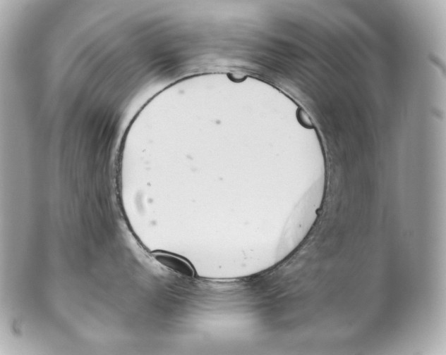 X0000102021152200808151309