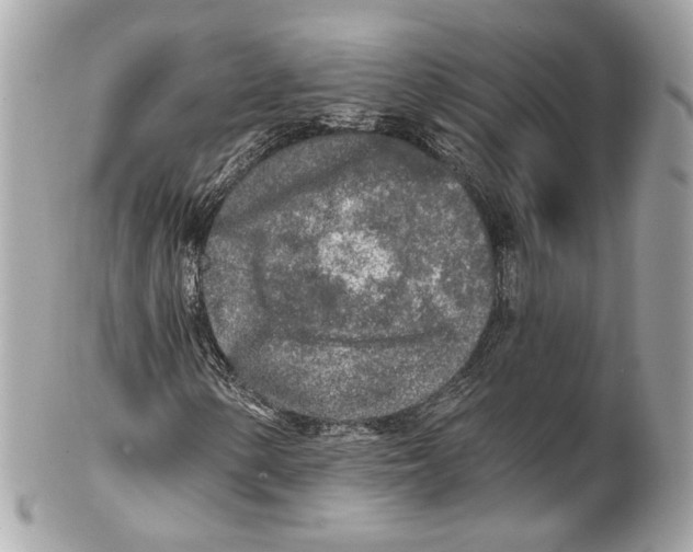 X0000102021154200808151309