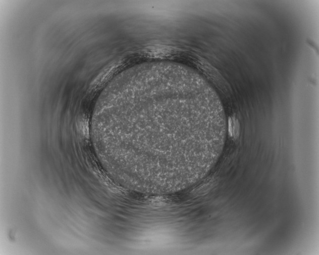 X0000102021155200808151309
