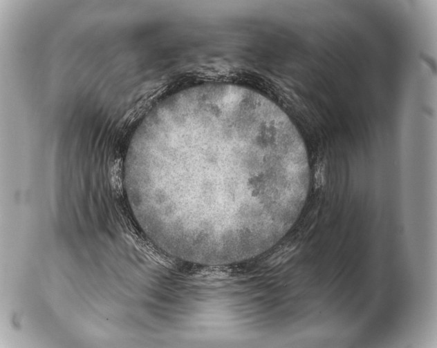 X0000102021156200808151309