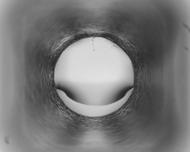X0000102021157200808151309