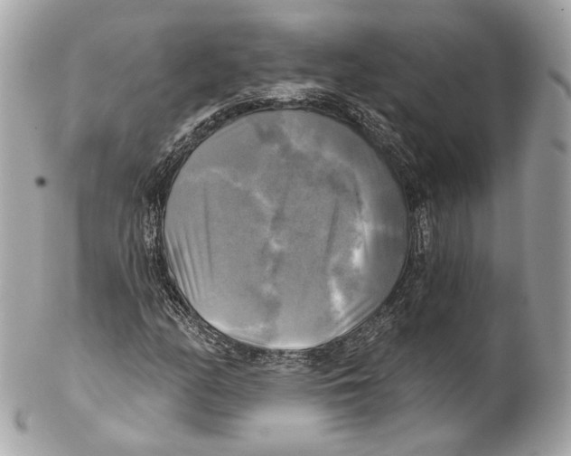 X0000102021158200808151309