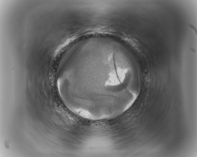 X0000102021159200808151309