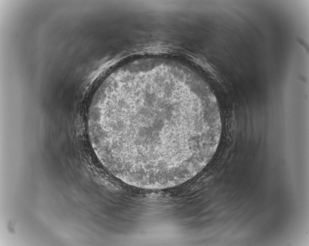 X0000102021160200808151309