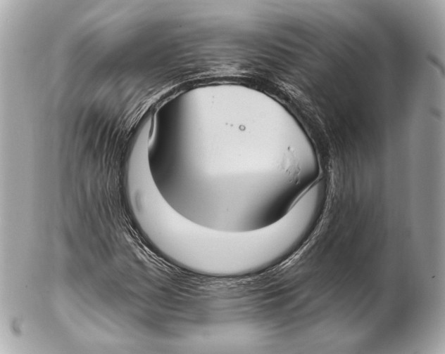 X0000102021161200808151309