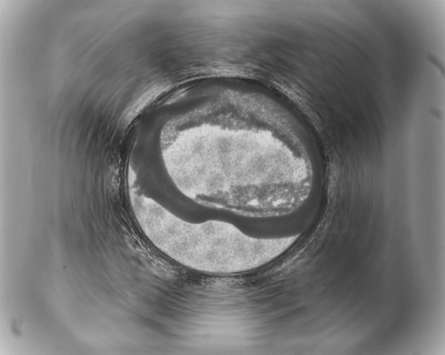 X0000102021163200808151309