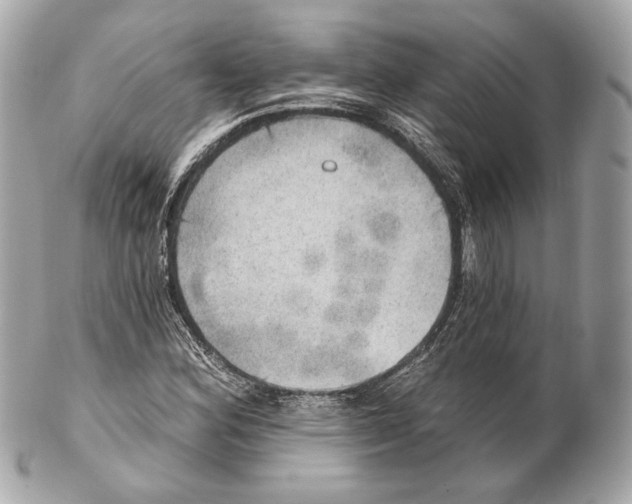 X0000102021164200808151309