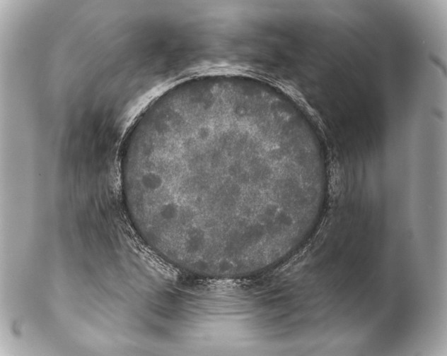 X0000102021167200808151309