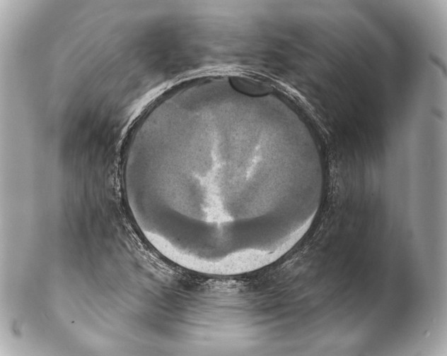 X0000102021168200808151309