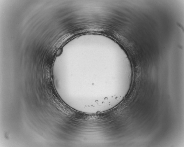 X0000102021169200808151309